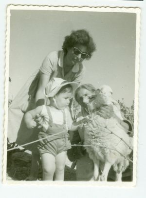 1962