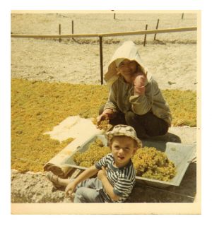                        1969                                                                                                  